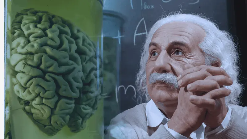 Science Behind Neuro Energizer